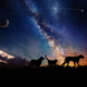 Illustration for article titled You Can Now Launch Your Dead Pets Into Space